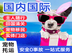 大同航空托运国际宠物托运 【国